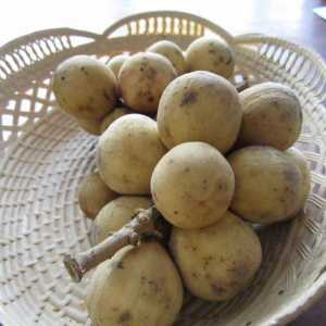 Kakav voća Longan, gdje se uzgaja, kako da jedu i kako je korisno
