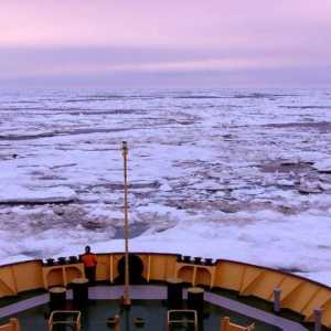 Chukchi Sea - bivši Beringia