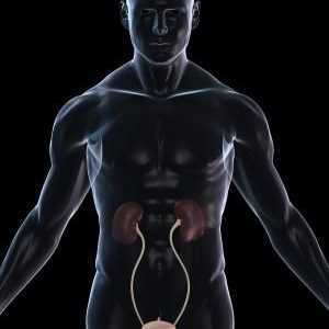 Cistitis: simptomi kod muškaraca, uzroci i tretmani