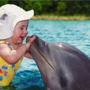 Delfin - životinja ili biti razuman?