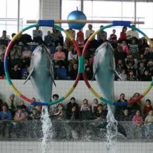 Dolphinarium u Naberezhnye Chelny - puno zabave i pozitivnih