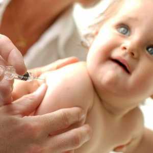 Dijete imunizacija - učiniti ili ne? I kako se pripremiti za to?