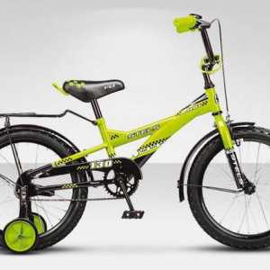 Dječje bicikle Stels: pregled, modeli, funkcije i recenzije