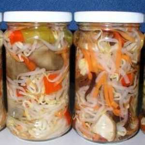 Domaće salate od povrća zimi: recepti