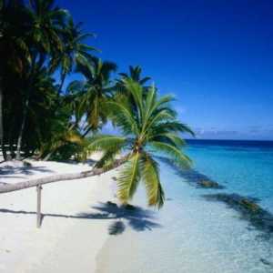 Dominikanska Republika: Glavni grad Santo Domingo, najbolje plaže i izlete u Punta Cana. Kako se…