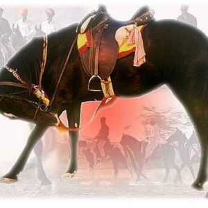 Don rase konja: opis i slike