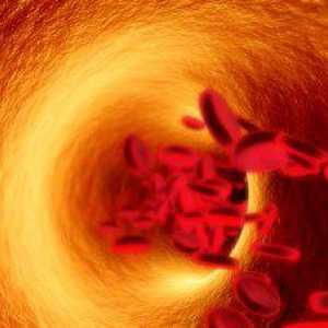 Kretanje krvi kroz sudove. Mehanizam i regulaciju cirkulacije krvi