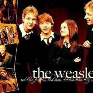 George Weasley Fred Weasley - nestašan blizanci iz priča dječaka koji je preživio