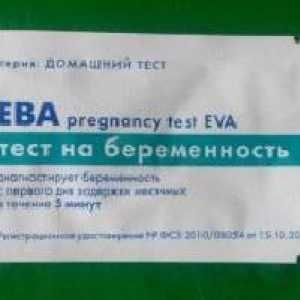 "Eve" - ​​test na trudnoću: mišljenja, funkcije aplikacije, cijene