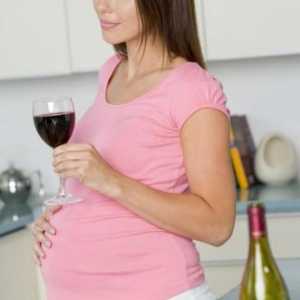 Fetalni alkoholni sindrom. Alkohol u trudnoći