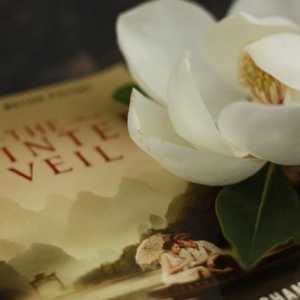 Film o nestalnost ljubavi, "The Painted Veil"