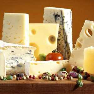 Francuski sirevi i njihove vrste. Top 10 francuski sirevi