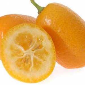 Voće kumquat - što je to? Kao što je bilo kumquat? Korisni svojstva kumquat