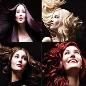 Garnier "olia" - Hair Beauty paleta