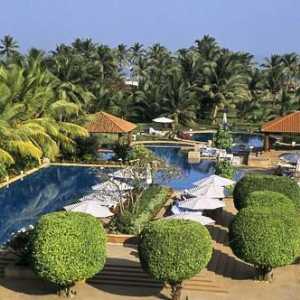 Gdje bolje da se opustite u Goa. Komentari odmora u Indiji