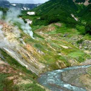 Gdje je rijeka Kamčatka? Kamčatka rijeka: opis, izvor, usta, priroda, flora i fauna