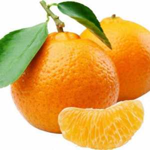 Gdje naranče rastu u kojoj zemlji?