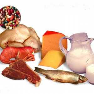 Koji sadrži protein u tijelu i iz kojeg proizvoda stigne?