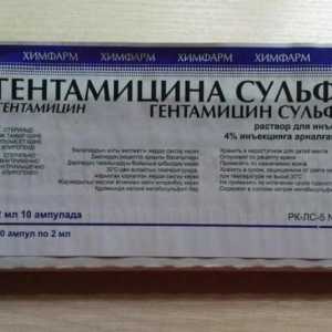 "Gentamicin sulfat": uputstva za upotrebu, analoga i recenzije