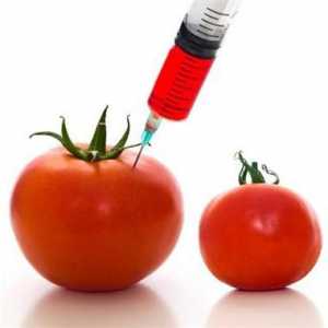 GMO: dekodiranje i opasnosti