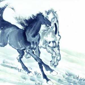 Godine konja: karakterističan za sve znakove istočnog horoskop