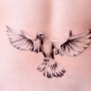 Dove - tetovažu, od kojih je značenje treba znati