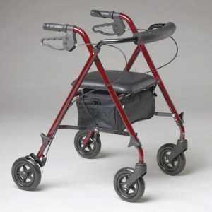 Go-kolica za invalide i starije osobe: vrste, opis, pravila izbora