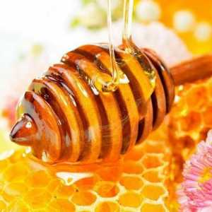 Med za pohranu u kući: osnovna pravila