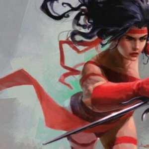 "Marvel" Chronicles. Electra Nachios - ženski ninja