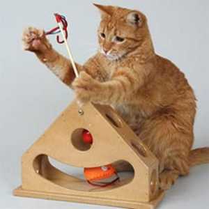 Igračke za mačke online - zabava za kućne ljubimce