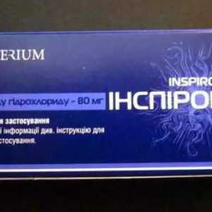"Inspiron" (tablete): uputstva za upotrebu. Tablete i sirup "Inspiron": opis
