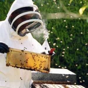 Inventar pčelar i pčelinjih alata. Što trebate znati prilikom odabira opreme za pčelarstvo