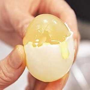 Artificial jaja - je li to moguće?