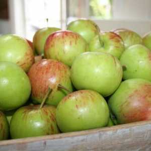 Jabuka Orlik: prekrasan voće s prekrasnim aromu