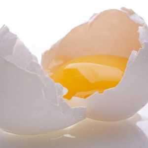 Jaje Protein: šta je to za?