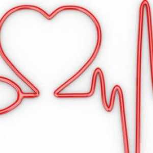 Beats - ovo ... poremećaja srčanog ritma - uzroci. Znakovi bolesti srca