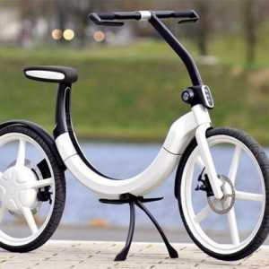 Električni bicikl sa svojim rukama - to je moguće! Kako sastaviti svoje ruke električni bicikl