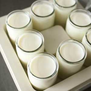 Jogurt: recepti. Kako kuhati jogurt jogurt Recepti