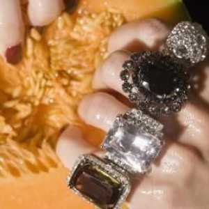 Zašto uzeti prsten: svadba, prstenje, brtve?