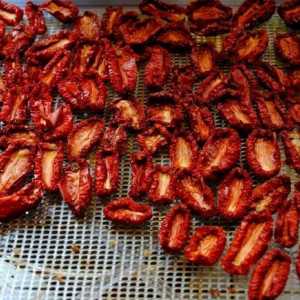 Kako se pripremiti za zimu na suncu sušene rajčice u rerni, i mikrovalna pećnica