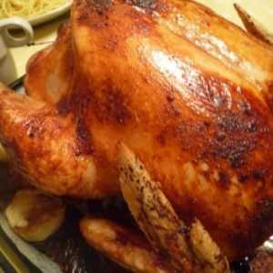 Kako kuhati piletinu u marinadu u pećnici