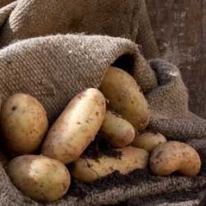 Kako čuvati krompira u podrumu: u mreže, vreće, bulk