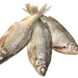 Kako čuvati sušene ribe kod kuće. Pravila pripreme ribe