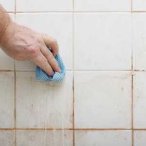 Kako da biste dobili osloboditi od plijesni u kupaonici: praktičnih savjeta