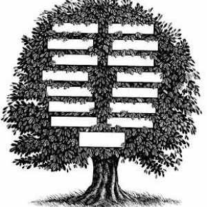 Kako nacrtati obiteljsko stablo: praktičnih savjeta