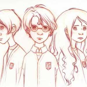 Kako se izvući Harry Potter i njegovi prijatelji: vodič za prave fanove