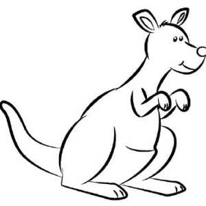 Kako nacrtati olovkom kengura faze?