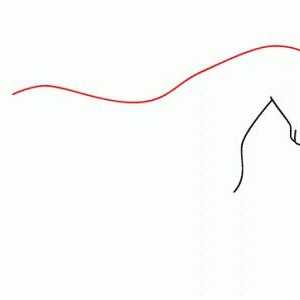 Kako nacrtati konja korak po korak: jednostavan kola