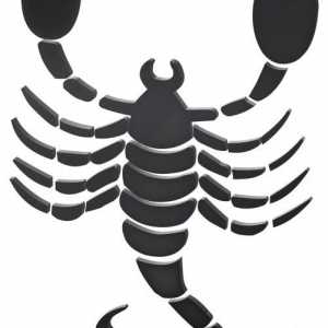 Kako se izvući Scorpion: Korak po korak upute