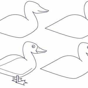 Kako nacrtati patka lepa?